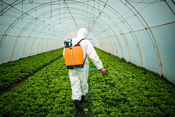 Best Ant Control Services  in Eagle Mountain, UT
