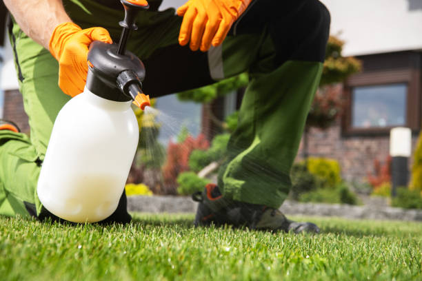 Eagle Mountain, UT Pest Control Company