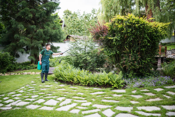Best Flea Control Services  in Eagle Mountain, UT