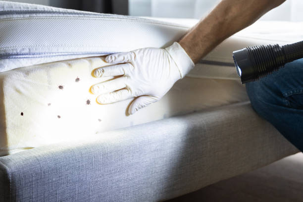 Pest Control for Restaurants in Eagle Mountain, UT